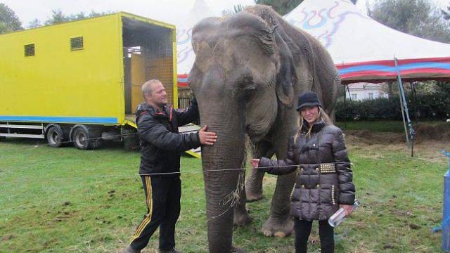 la-piste-dor-et-ses-animaux-font-le-spectacle-ce-soir