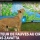 Reportage vidéo : comment se passe le dressage ?